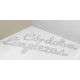 Lettres en relief imprimées en PVC