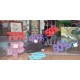 Pack d'offres 3D pour Showcase
