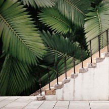 Autocollant mural feuilles de jungle