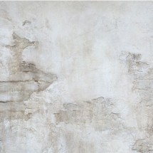 Fond photographique en brique usée