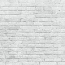 Fond photo studio en brique blanche