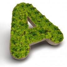 Logo Végétal